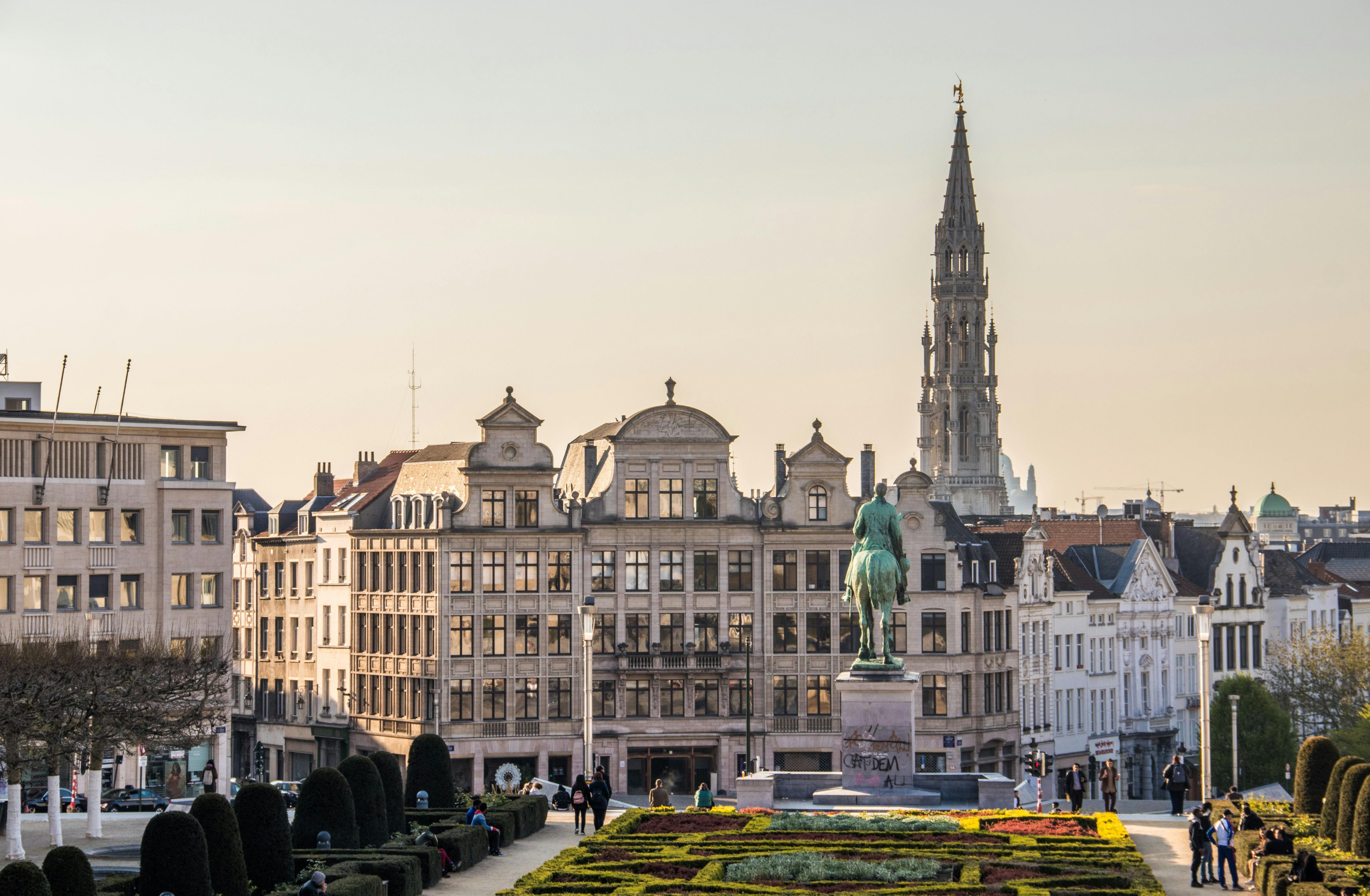 brussels workshop tip4ped pocityf