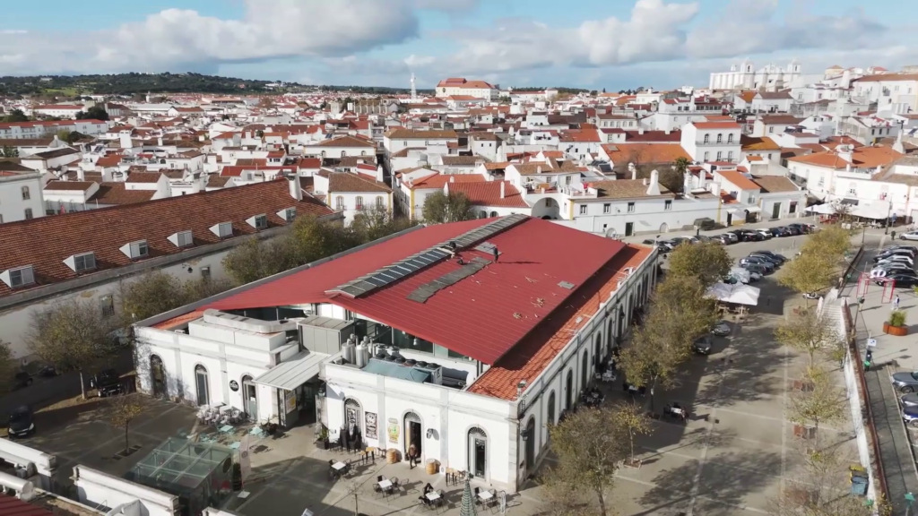 selene verri article pocityf evora mercado